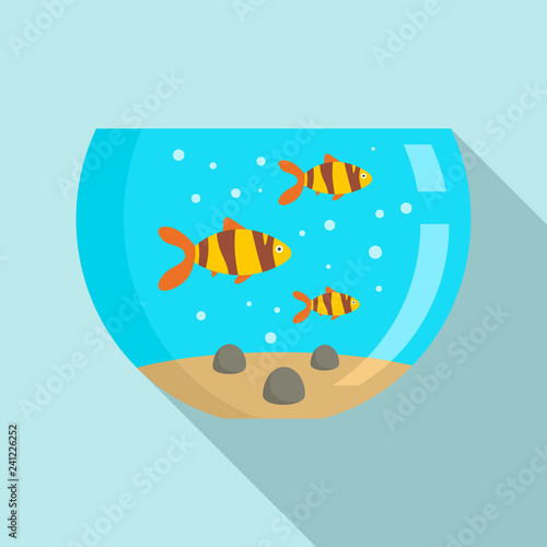 610 Aquarium Design For Goldfish HD Terbaru