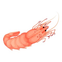 Poster - Sea shrimp icon. Cartoon of sea shrimp vector icon for web design isolated on white background