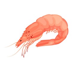 Wall Mural - Raw shrimp icon. Cartoon of raw shrimp vector icon for web design isolated on white background