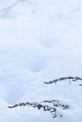Wall Mural - white blue snowy landscape outdoors abstract background.