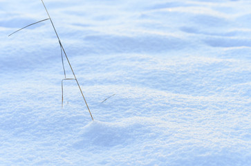 Wall Mural - white blue snowy landscape outdoors copy space background.