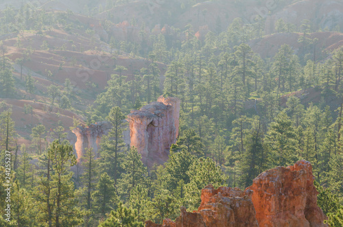 Fotografie, Obraz Hoodoo Rock Formations in Morning Mist, Bryce Canyon National Park, Utah