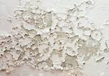 Fototapeta Paryż -  Damp and mold on the wall due to water Leaks.