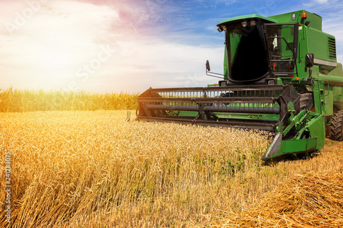 Carta da parati  Harvesting wheat harvester on a sunny summer day