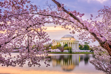 Washington DC, USA At The Jefferson Memorial