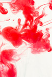 Fototapeta Tulipany - Color drop in water on a white background close-up, abstraction