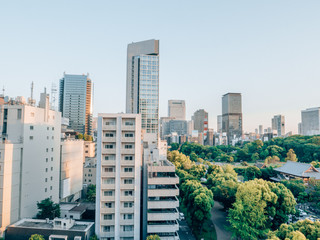 Wall Mural - Many Buildings in Downtown Tokyo, Japan