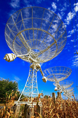 Wall Mural - the observatory radio telescope