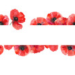 Seamless watercolor template with poppies. Hand drawn watercolor illustration. Isolated on white background.