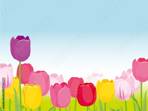 花畑 アドビストックのデザイン かべいろ Com おしゃれ壁紙リフォーム貼り替え インクジェット壁紙のかべいろ Com