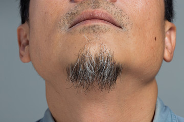 Closeup macro Man grey bread, Human male show close up white black short bread under chin. Body Part of shaved trimmer Mustache 40s age, rear side view background