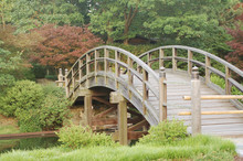 Peaceful Wooden Bridge