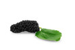 Ripe mulberry with a leaf on a white background