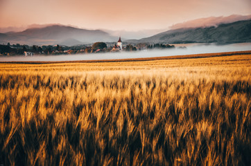 Morning landscape over village with meadows and trees covered by morning mist and beautiful sunrise light