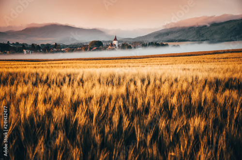 ranek-krajobraz-nad-wioska-z-lakami-i-drzewami-zakrywajacymi-ranek-mgla-i-pieknym-wschodu-slonca-swiatlem