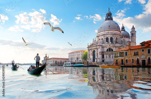 Fotografía Seagulls and Grand Canal