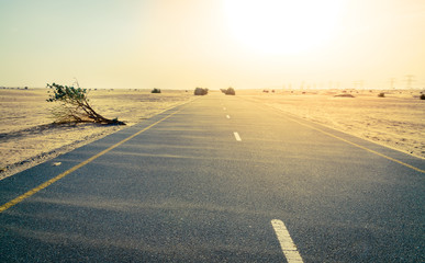 Wall Mural - Desert road in the Middle East