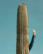 A Man Stands Behind A Cactus With His Hand In The Air Giving A Peace Sign