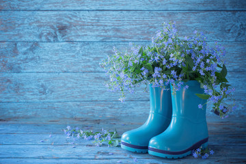 Wall Mural - blue flowers in boots on wooden background