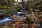Fototapeta Desenie - River in a forest in autumn