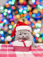 Baby kitten in red santa hat sitting on gift box with Christmas tree on background. Empty space for text