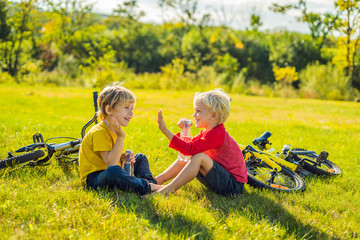 Wall Mural - Two little boys drink water in the park after riding a bike