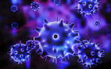 Fototapeta  - Illustration of Influenza Virus,3d rendering