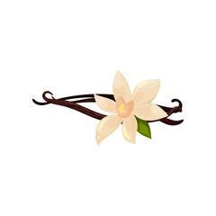 Poster - Three sticks of vanilla and flower. Fragrant spice. Organic condiment for food. Flat vector design