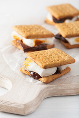 Wall Mural - homemade marshmallow s'mores with chocolate on crackers