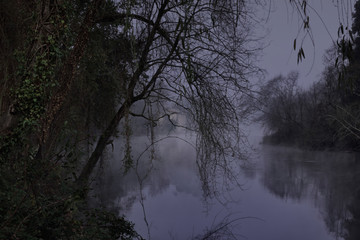 Wall Mural - Foggy forest river at night