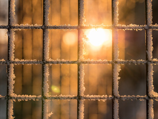 Sun shining behind frosty iron net fencing