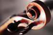 © SimonsArt-PhotoVideo - Violinenkopf