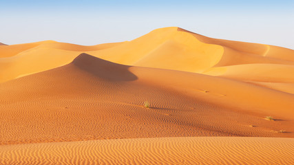  Dune Landscape in the Empty Quarter