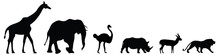 Vector Set Of Six African Safari Animals