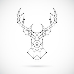 Wall Mural - Polygonal Deer silhouette. Image of Deer in the form of constellation. Vector geometric illustration.