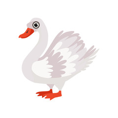 Wall Mural - beautiful swan bird vector illustration on a white background