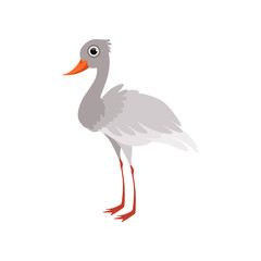 Wall Mural - beautiful white stork bird vector illustration on a white background
