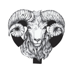 hand drawn horoscope symbol of aries illustration