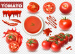 Realistic Tomato Transparent Set