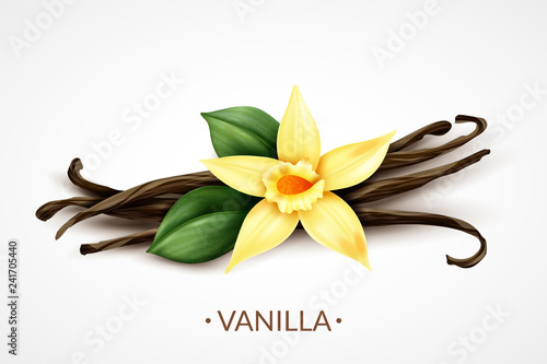 Fotomural Vanilla Flower Realistic Image