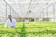 © MDBPIXS - Mature male biochemists examining seedlings in plant nursery