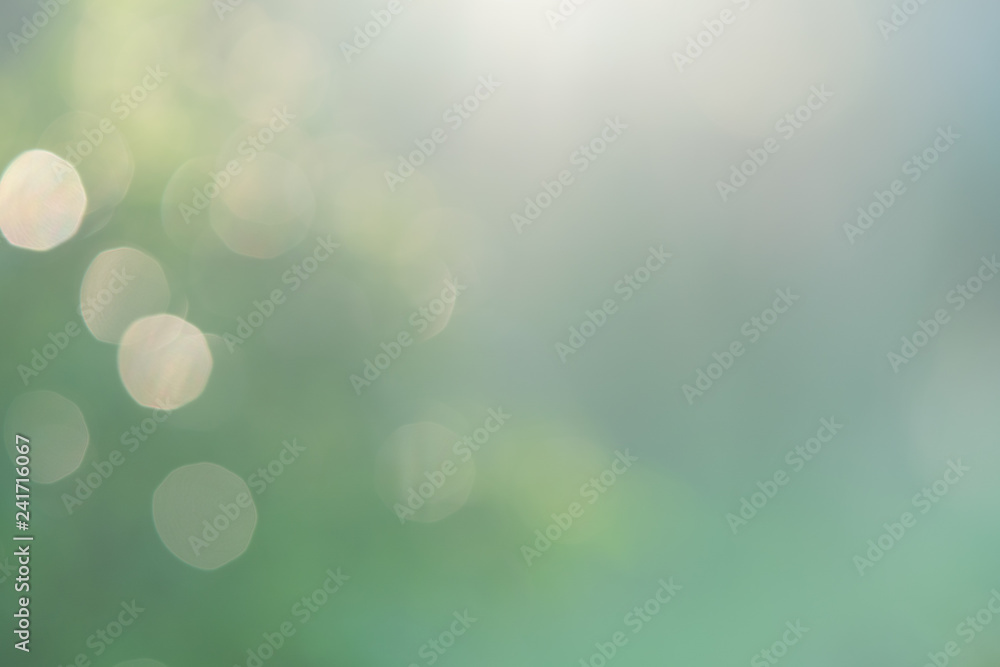 blurred green nature background with natural light with copy space. - obrazy, fototapety, plakaty 