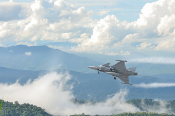 Canvas Print - Gripen fighter aircraft