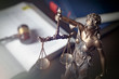 © Proxima Studio - Statue of justice on books background