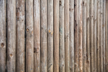 Poster - Old wooden trunk fence