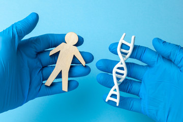 Wall Mural - DNA helix research. Concept of genetic experiments on human biological code DNA. The scientist is holding DNA helix and human figure.