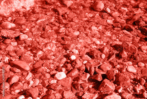 sea-stones-background-toning-in-living-coral-color-of-the-year-2019