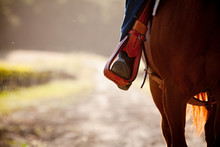 Horse Back Riders Free Stock Photo - Public Domain Pictures