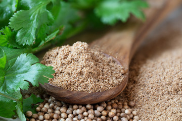 Canvas Print - Wooden Spoon of Coriander Powder