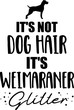 It's not dog hair, it's Weimaraner glitter